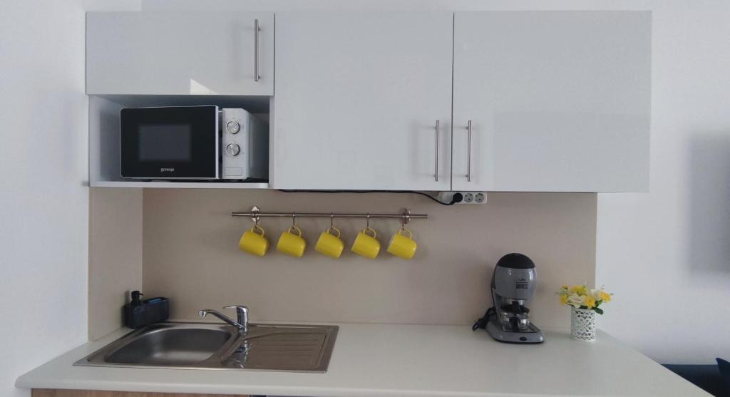 Kuchyň nebo kuchyňský kout v ubytování Nova Suites