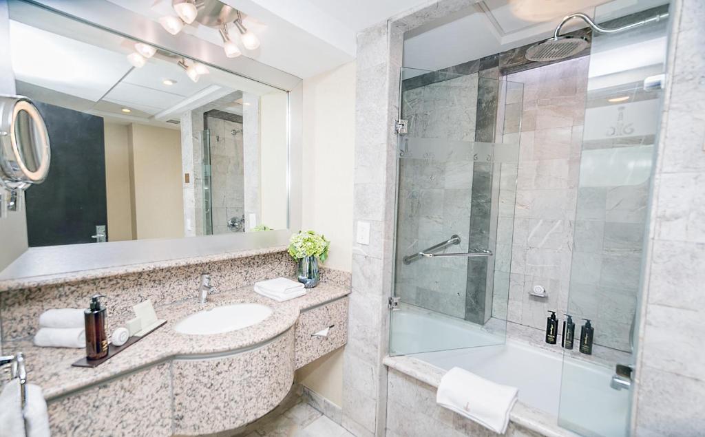 Hotel Marquis Reforma - Deluxe King Room