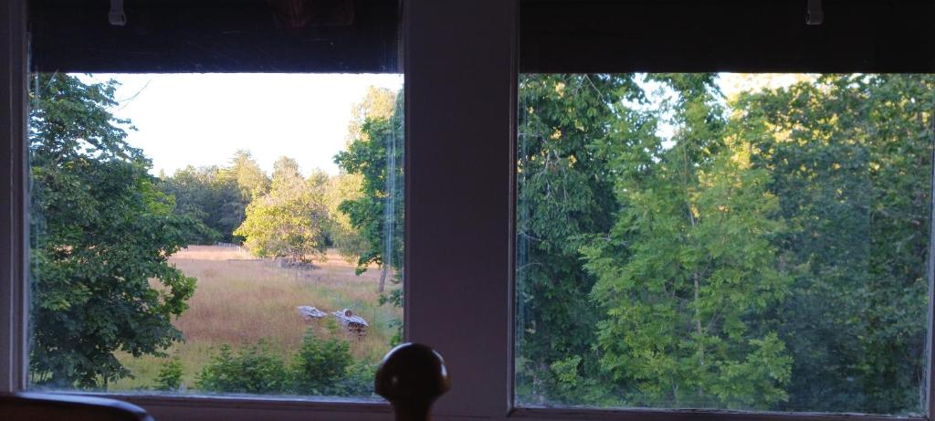 Zahrada ubytování Månsarps skogs- och alpackagård