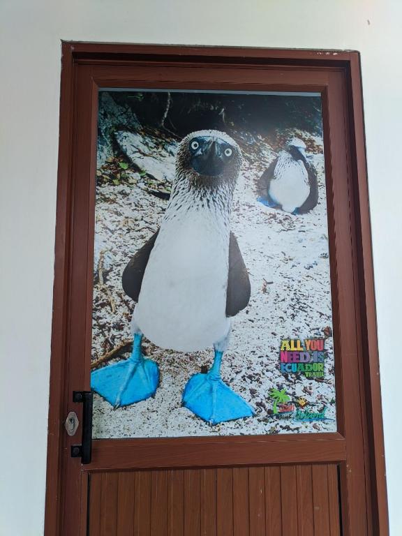 Fotografie z fotogalerie ubytování Sun Island v destinaci Puerto Villamil
