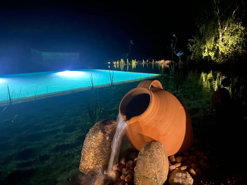 Bazén v ubytování Hotel Albergue Bioclimático Sabinares del Arlanza nebo v jeho okolí