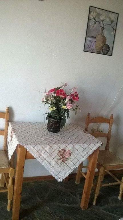 Fotografie z fotogalerie ubytování Anna Daniil Oasi Studios Skala Kallonis Lesvos v destinaci Skala Kallonis