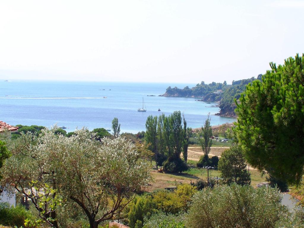 a view of the ocean from a hill with trees at Villa Anna Maria in Agia Paraskevi