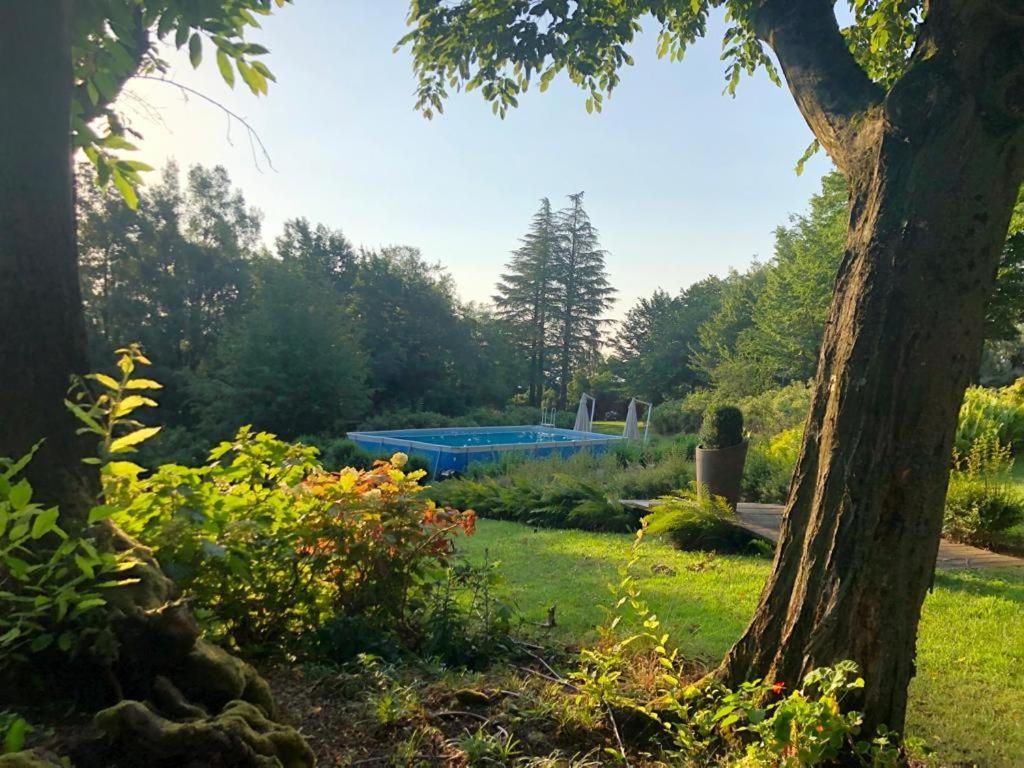 Zahrada ubytování Chalet Bosco Magico Roccolo