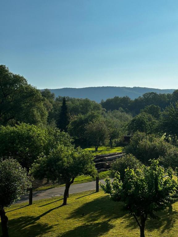 a view of a field with trees and a road at Ferienwohnung WerraLiebe in Bad Sooden-Allendorf