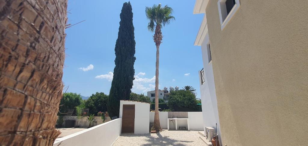 two palm trees in a courtyard with a building at Lavin - 3Bedroom Maisonette in Argaka