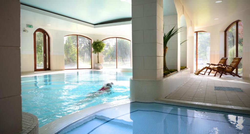 Bazén v ubytování Mill Park Hotel nebo v jeho okolí