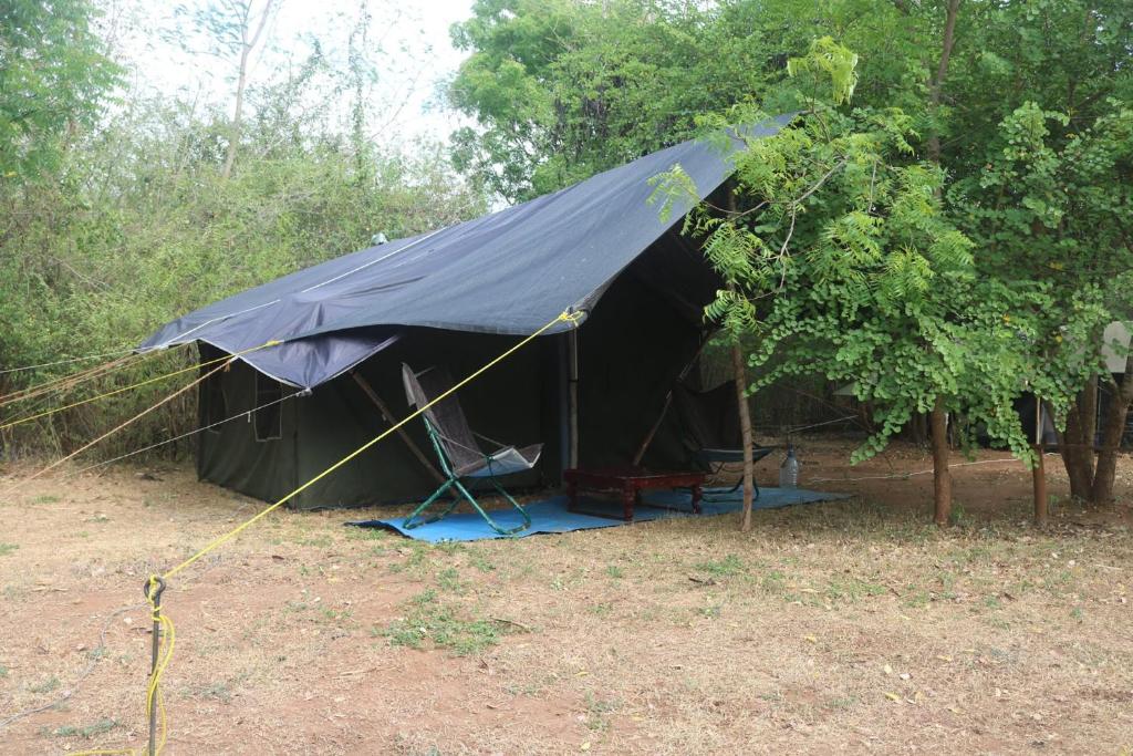 Zahrada ubytování Dev's Campground