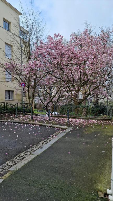 two trees with pink blossoms in front of a building at Studio centre Rennes in Rennes