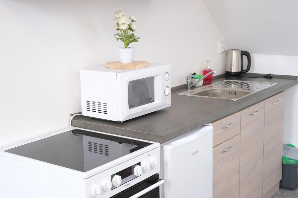 Kuchyň nebo kuchyňský kout v ubytování Apartmány Na Kovárně Rájov