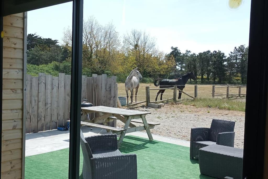 Fotografie z fotogalerie ubytování Le gîte de la Ferme v destinaci Portbail