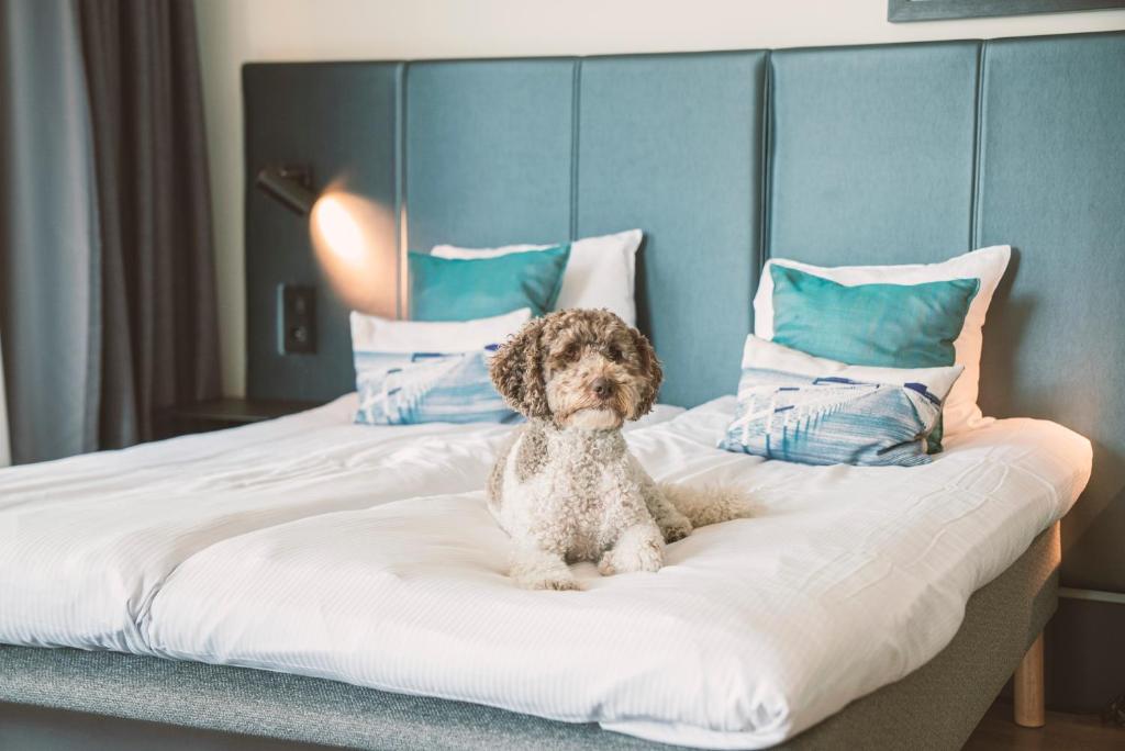 Quality Hotel View - Resim 44