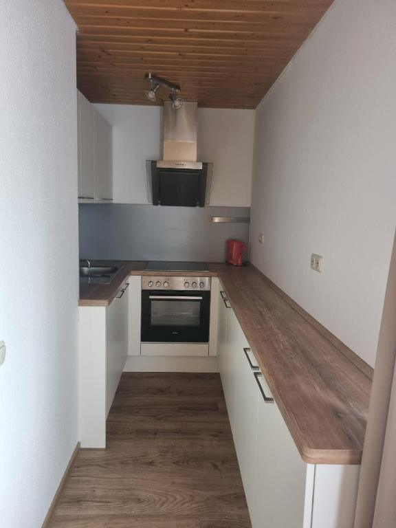 Kuchyň nebo kuchyňský kout v ubytování Brauhaus am See