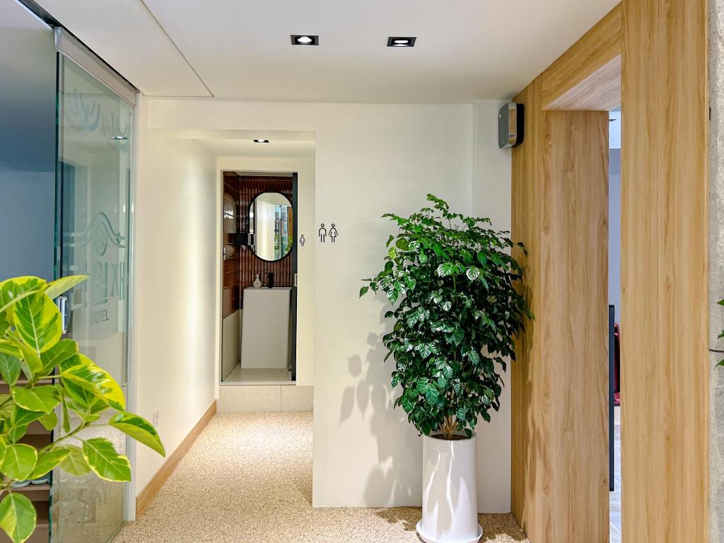 Fotografie z fotogalerie ubytování Hotel Ganwoljae v destinaci Ulsan