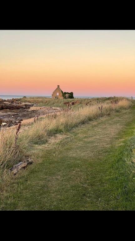 a house in the middle of a field with the ocean at The Cottage at Hillhead Farm in St. Andrews