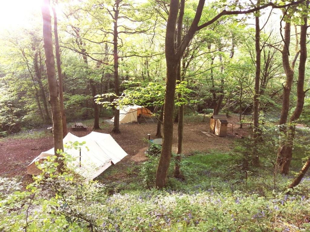Příroda nedaleko luxury tent