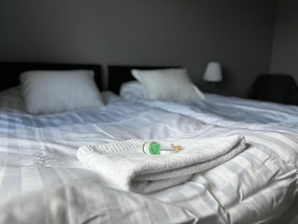 Postel nebo postele na pokoji v ubytování Hotel Lapland River