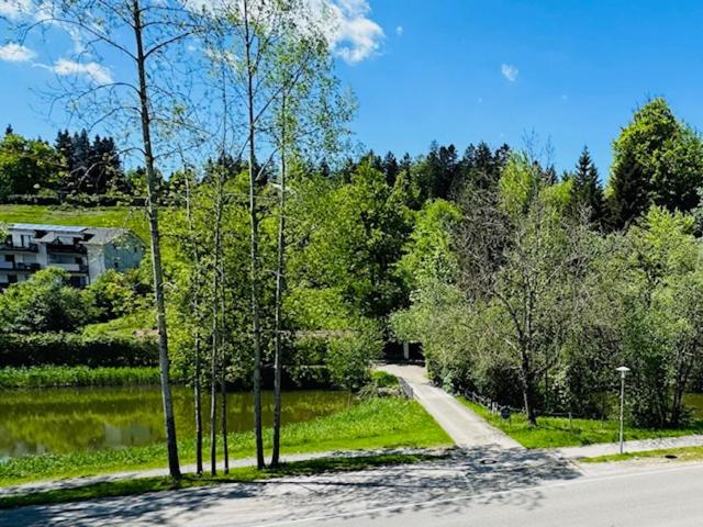 Příroda nedaleko apartmánu