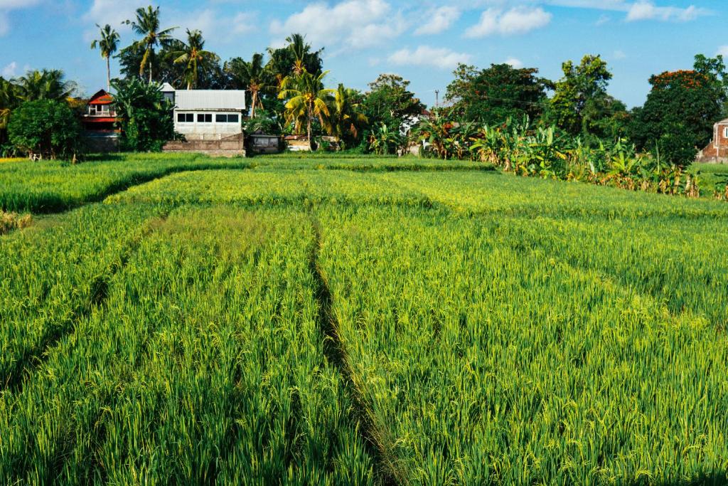 Zahrada ubytování Tut Winten Villa Ubud