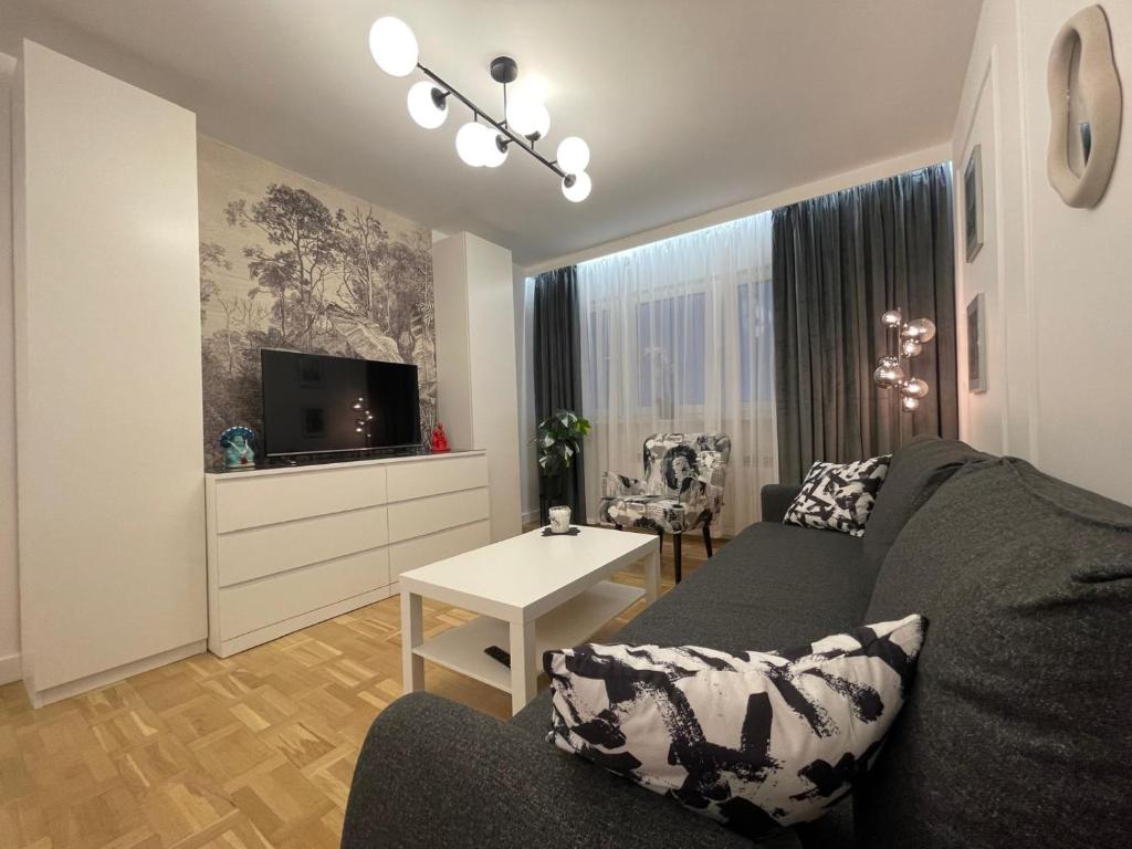 Televízia a/alebo spoločenská miestnosť v ubytovaní Happy Apartaments