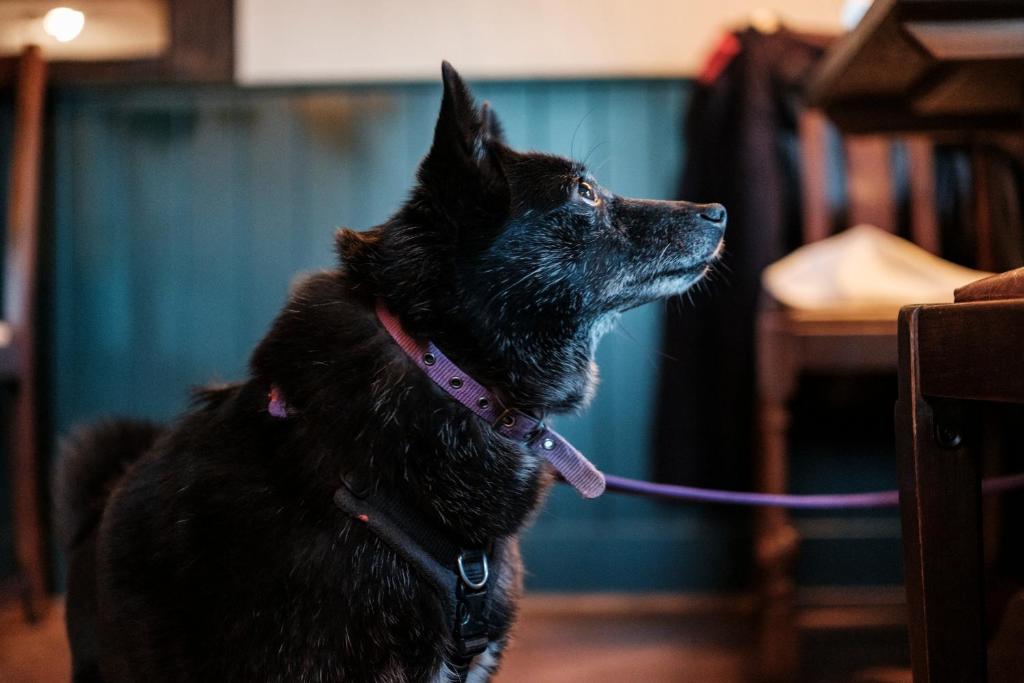 The Pilgrim Inn - Resim 21