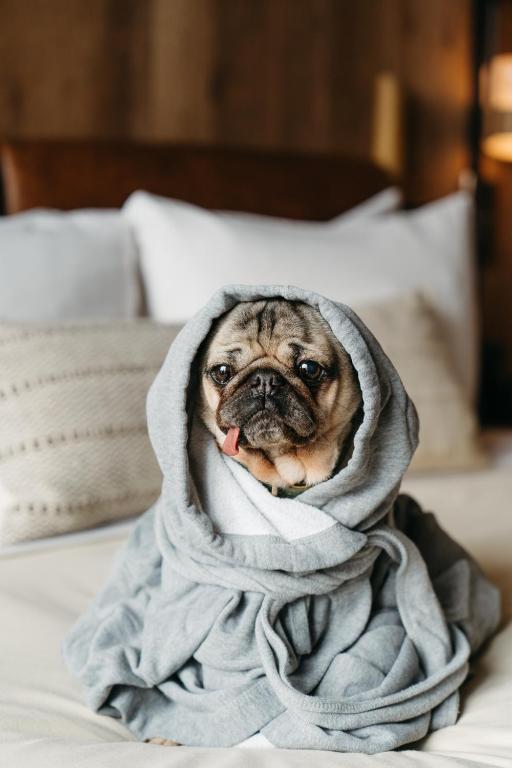 1 Hotel Mayfair - Resim 22