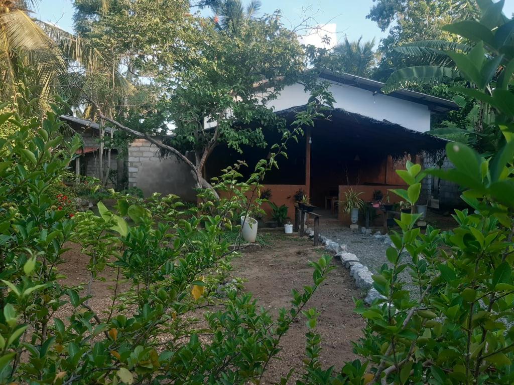 Zahrada ubytování Sigiriya Danu Homestay