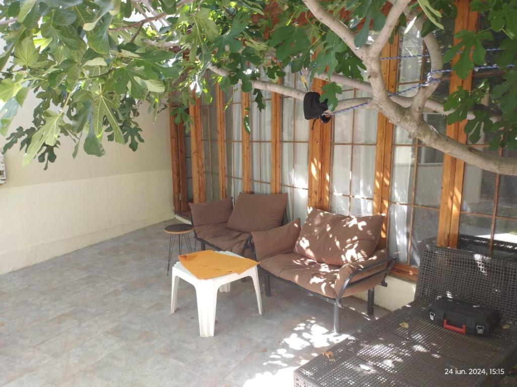 een woonkamer met een bank, een tafel en een boom bij Vila Ani in Techirghiol