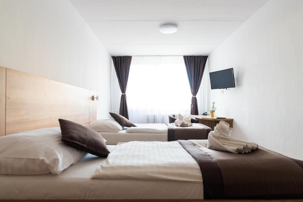 
Standard Single Room
