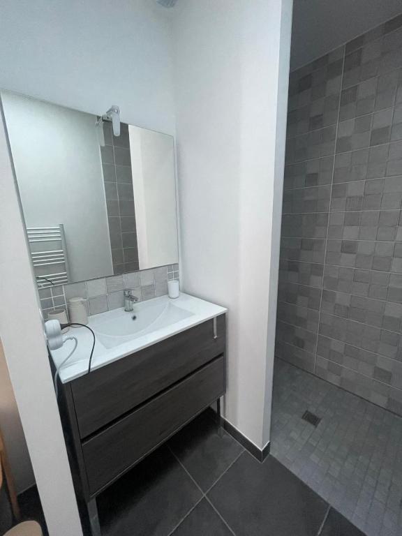 une salle de bain avec un lavabo et un miroir dans l'établissement La pomme de pin, à Mimizan