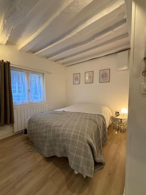 une chambre avec un lit avec une couverture dessus dans l'établissement Studio Cosy Beauvoisine, à Rouen