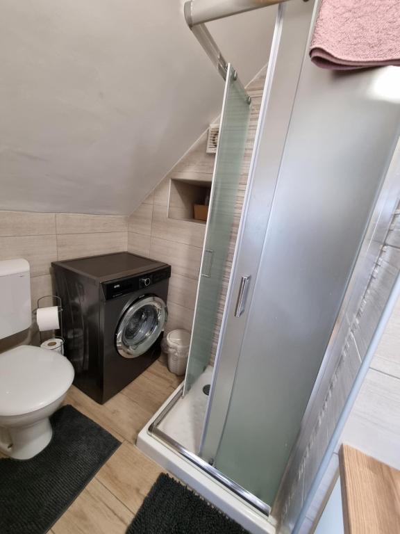 Koupelna v ubytování Room Sodja