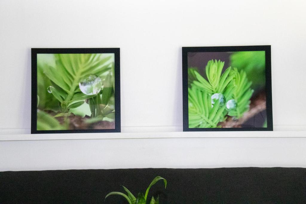 Fotografie z fotogalerie ubytování Chateau Mariposa v destinaci Spring Hill