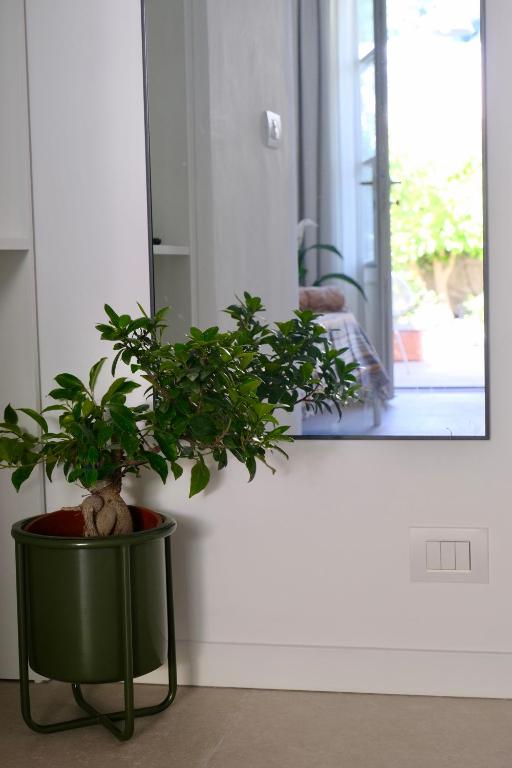 Fotografie z fotogalerie ubytování La Rondinella Suite v destinaci Anacapri