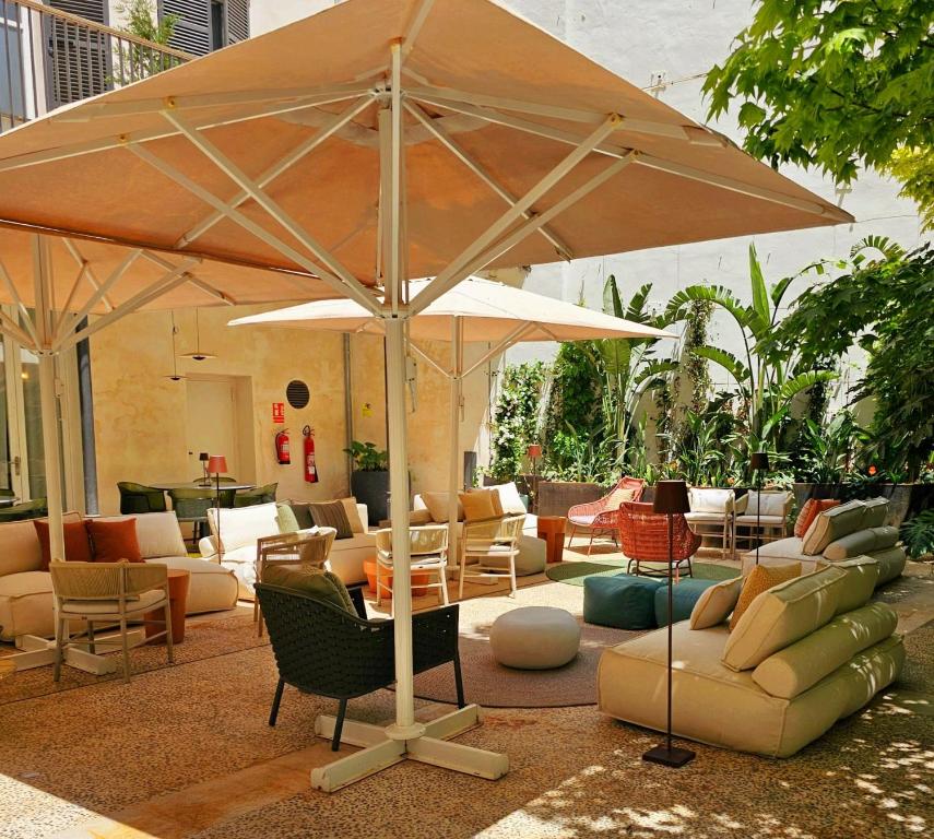 ICON Rosetó - Resim 5