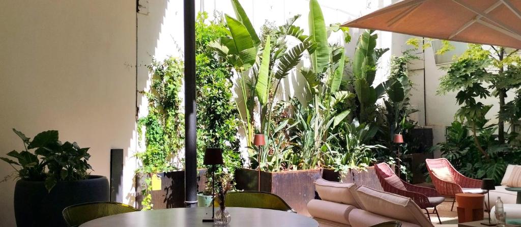 ICON Rosetó - Resim 34