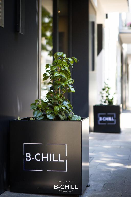 杜塞尔多夫B-Chill Düsseldorf的人行道上一个箱子里的盆栽植物