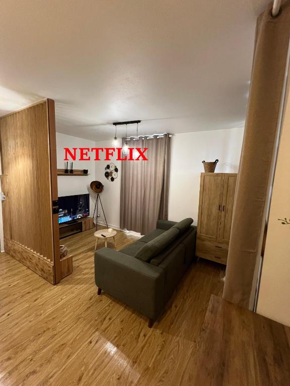 - un salon avec un canapé et un panneau netflix dans l'établissement Très joli STUDIO en plein cœur d'ANGOULEME, à Angoulême
