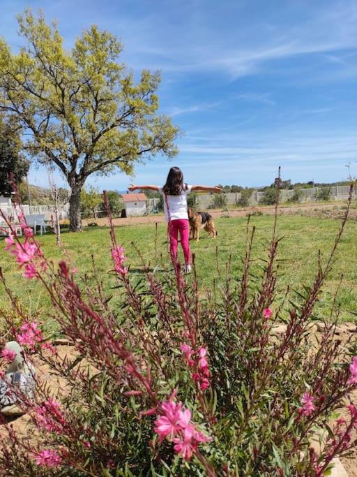 Hosté ubytování Appartamento Sulcis Sardegna