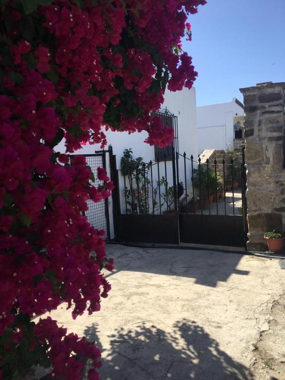 Apartamento Las adelfas