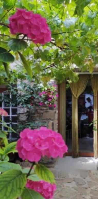 Zahrada ubytování Casa rural MAZA especial grupos