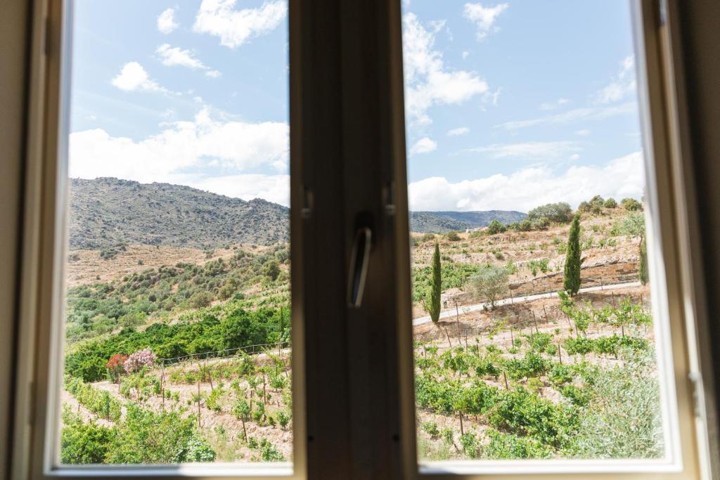 Olhares do Douro - 8