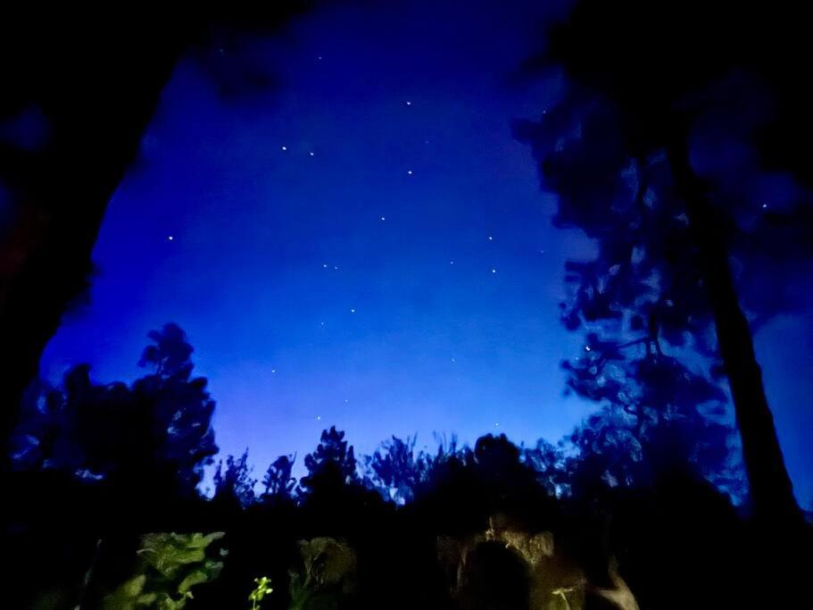 Foto sihtkohas Prescott asuva majutusasutuse Dancing Pines Cabin galeriist