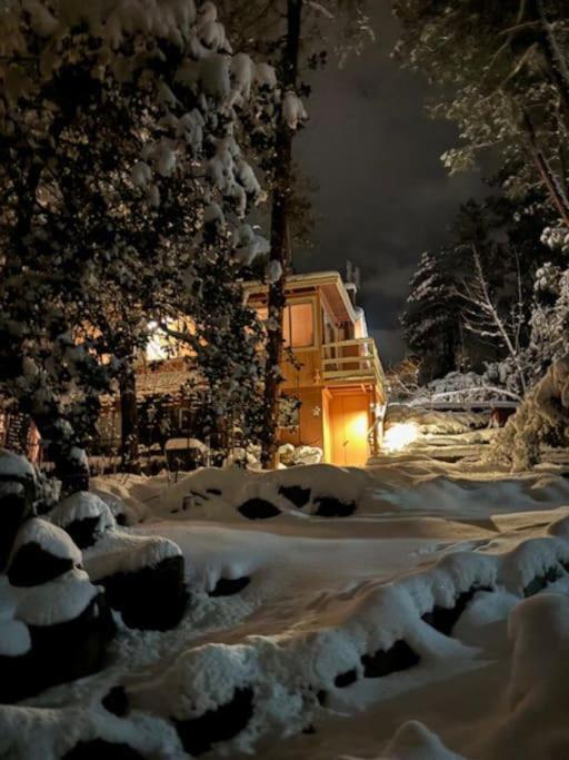 Dancing Pines Cabin talvel