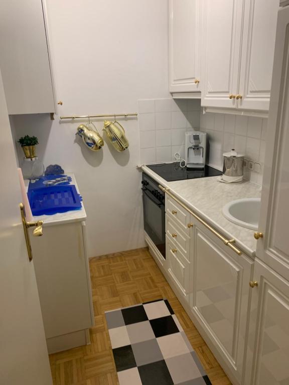 Kuchyň nebo kuchyňský kout v ubytování Einzimmerwohnung am Jakomini