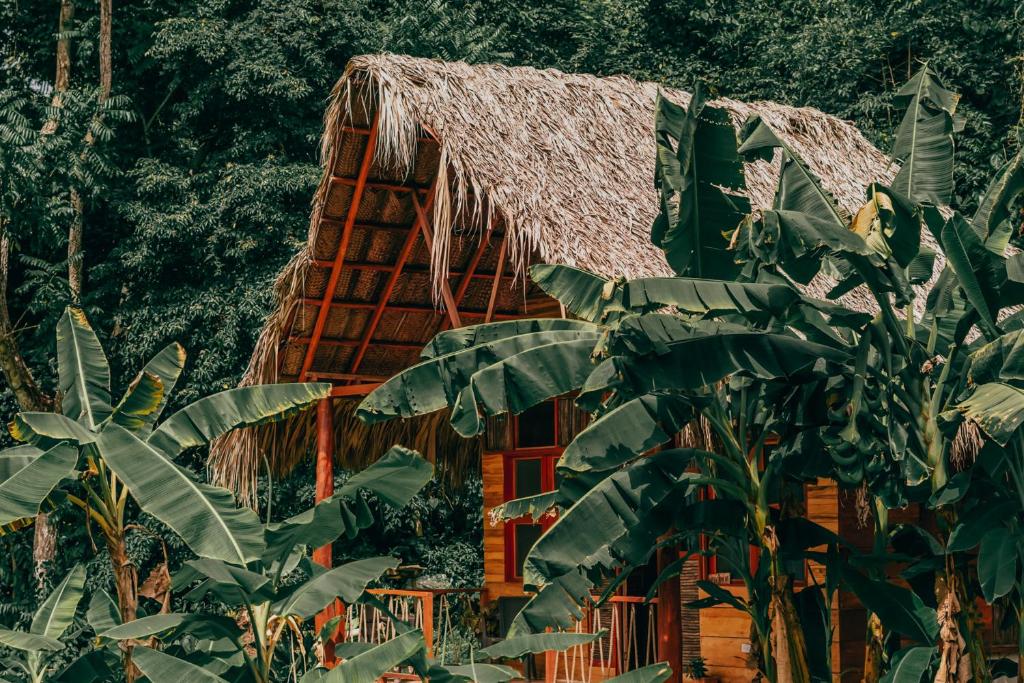 Ein Garten an der Unterkunft Magic Green Dentro del Parque Tayrona