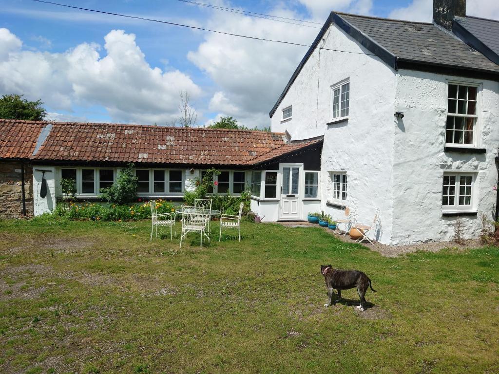 Villa Rosa, Caldicot (updated prices 2024)