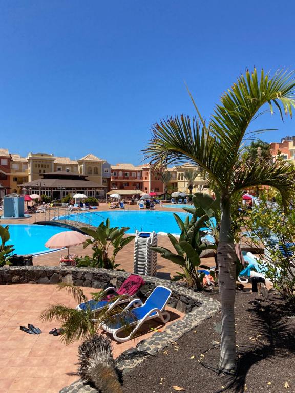 View of Amazing Port Zone Department - Unique - Apartments for Rent in Punta ...