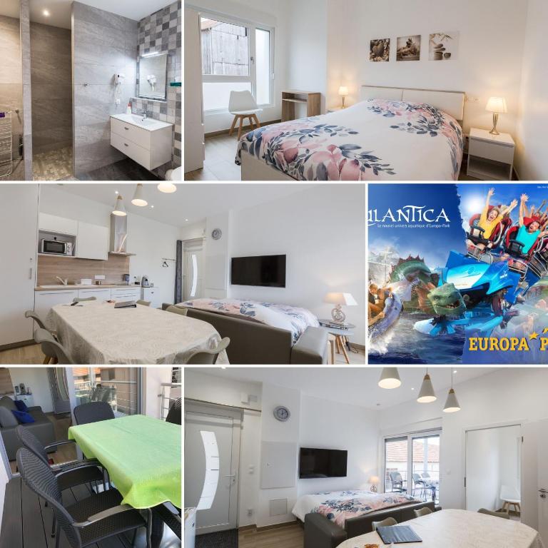 Sollaris Appartements 3P 1ère étage à 11km d'Europa-Park - Apartamento De Dos Dormitorios