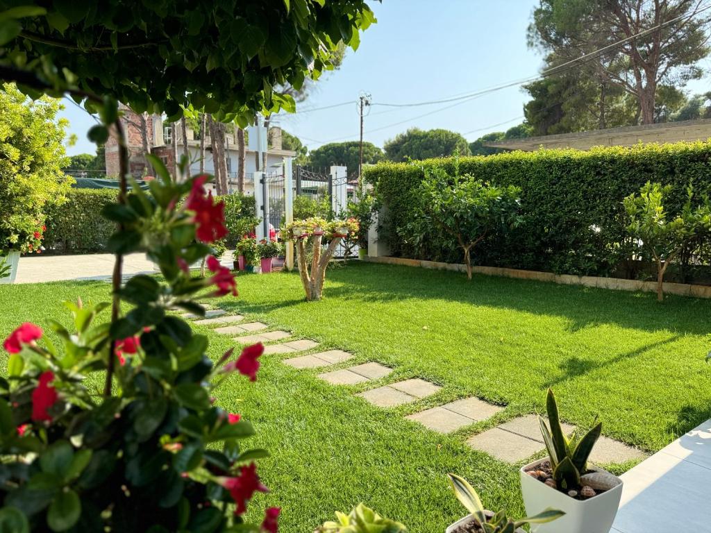 Zahrada ubytování Villa AX Mirage